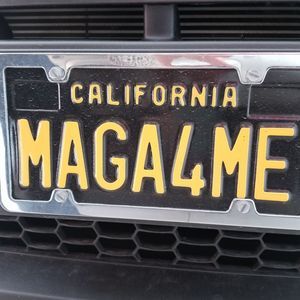 Meet your Posher, Donald